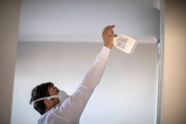 Best Attic Mold Removal  in Wiggins, CO