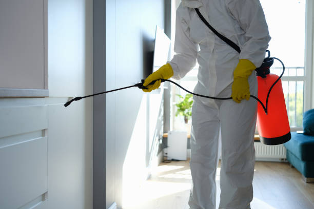 Best Mold Remediation  in Wiggins, CO