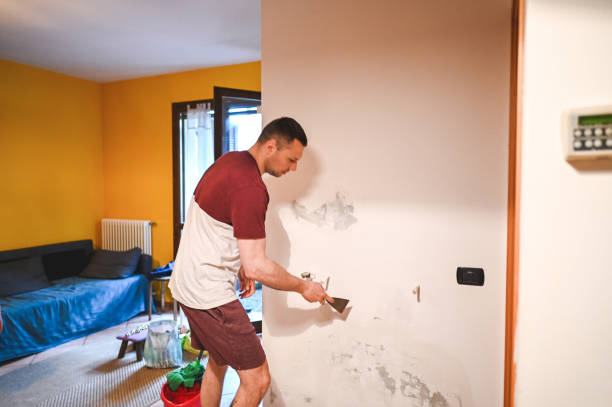 Best Crawl Space Mold Removal  in Wiggins, CO